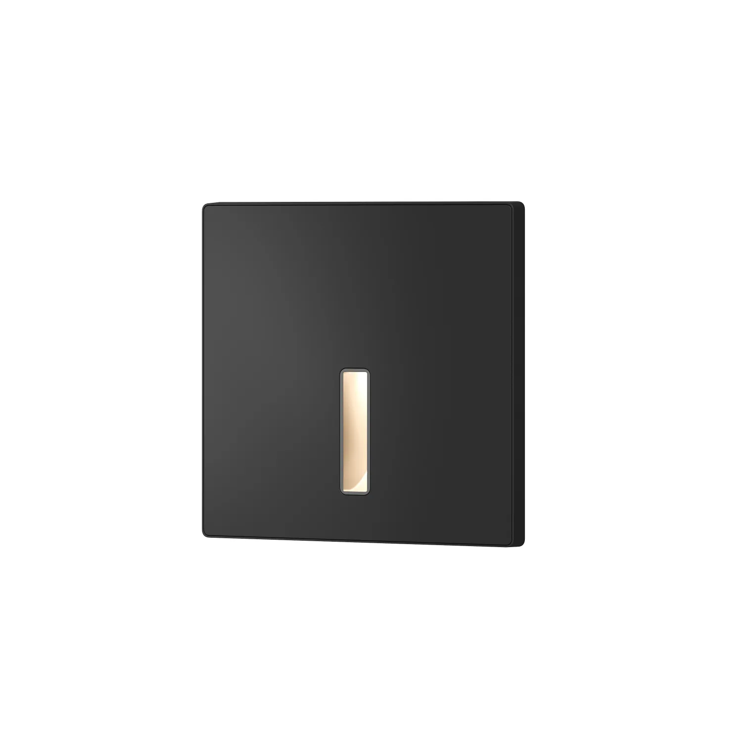 Denkirs DK1030-BK подсветка стен для дома (ДЕНКИРС) Denkirs DK1030-BK подсветка стен для дома (ДЕНКИРС)