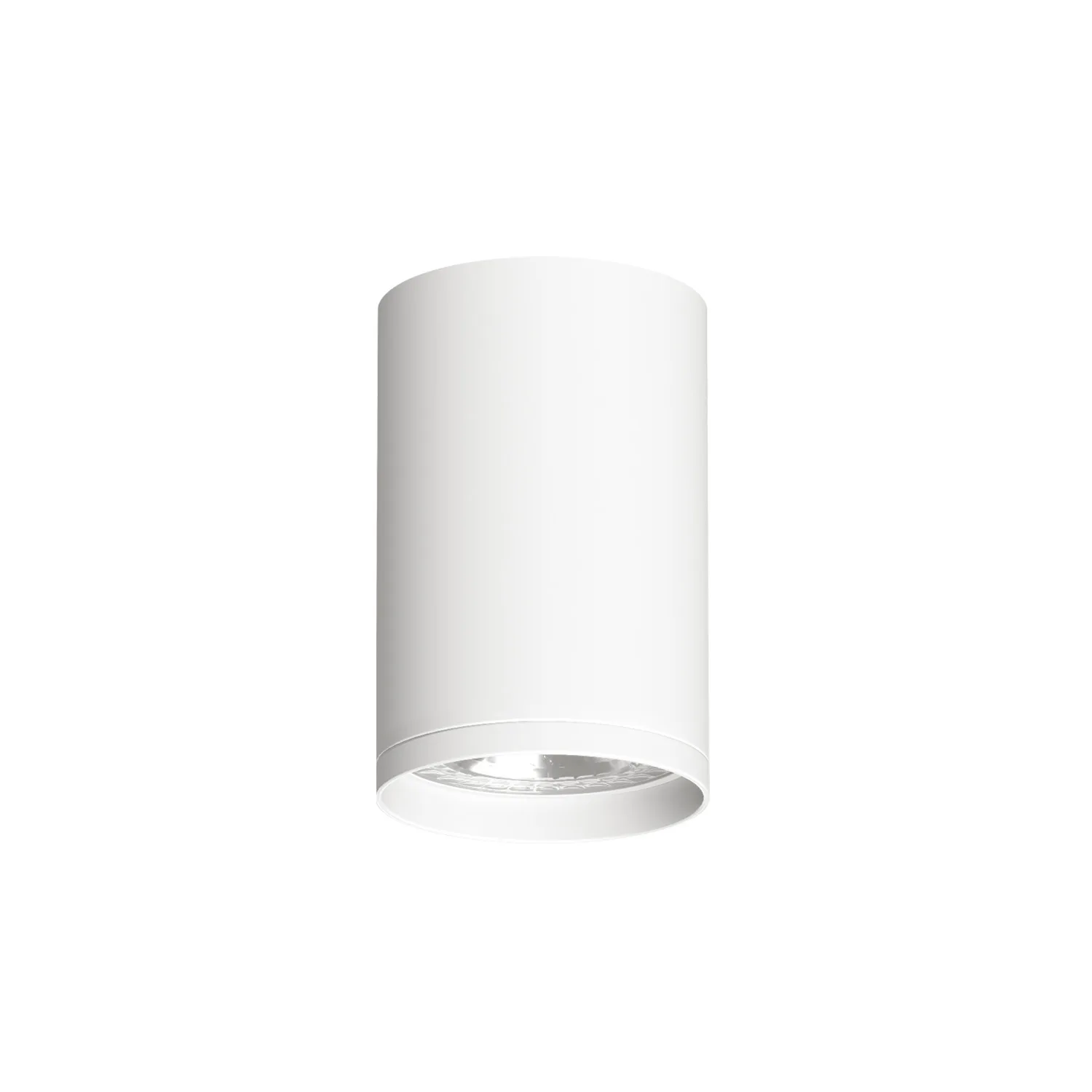 Denkirs DK2050-WH — точечный накладной светильник (ДЕНКИРС) Denkirs DK2050-WH — точечный накладной светильник (ДЕНКИРС)