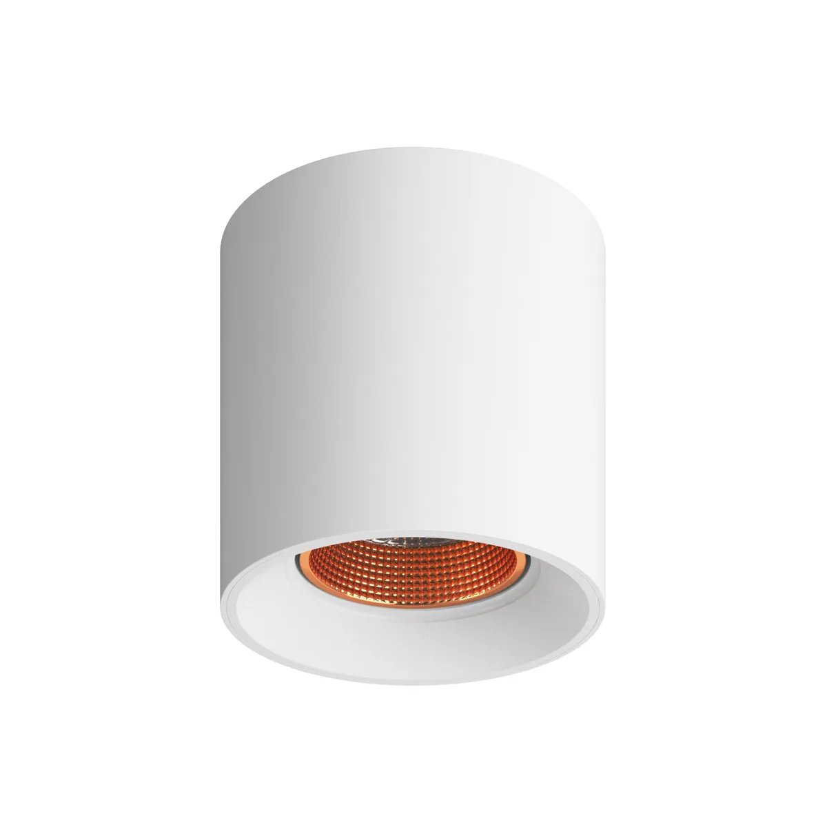 Denkirs DK3090-WBR точечный накладной светильник (ДЕНКИРС) Denkirs DK3090-WBR точечный накладной светильник (ДЕНКИРС)
