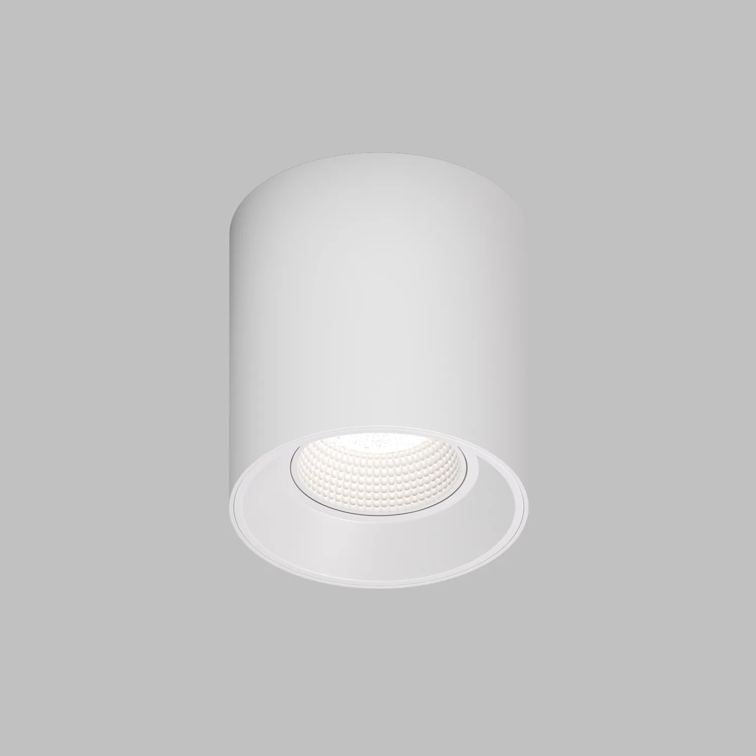 Точечный накладной светильник Denkirs DK3090-WH (ДЕНКИРС) Точечный накладной светильник Denkirs DK3090-WH (ДЕНКИРС)