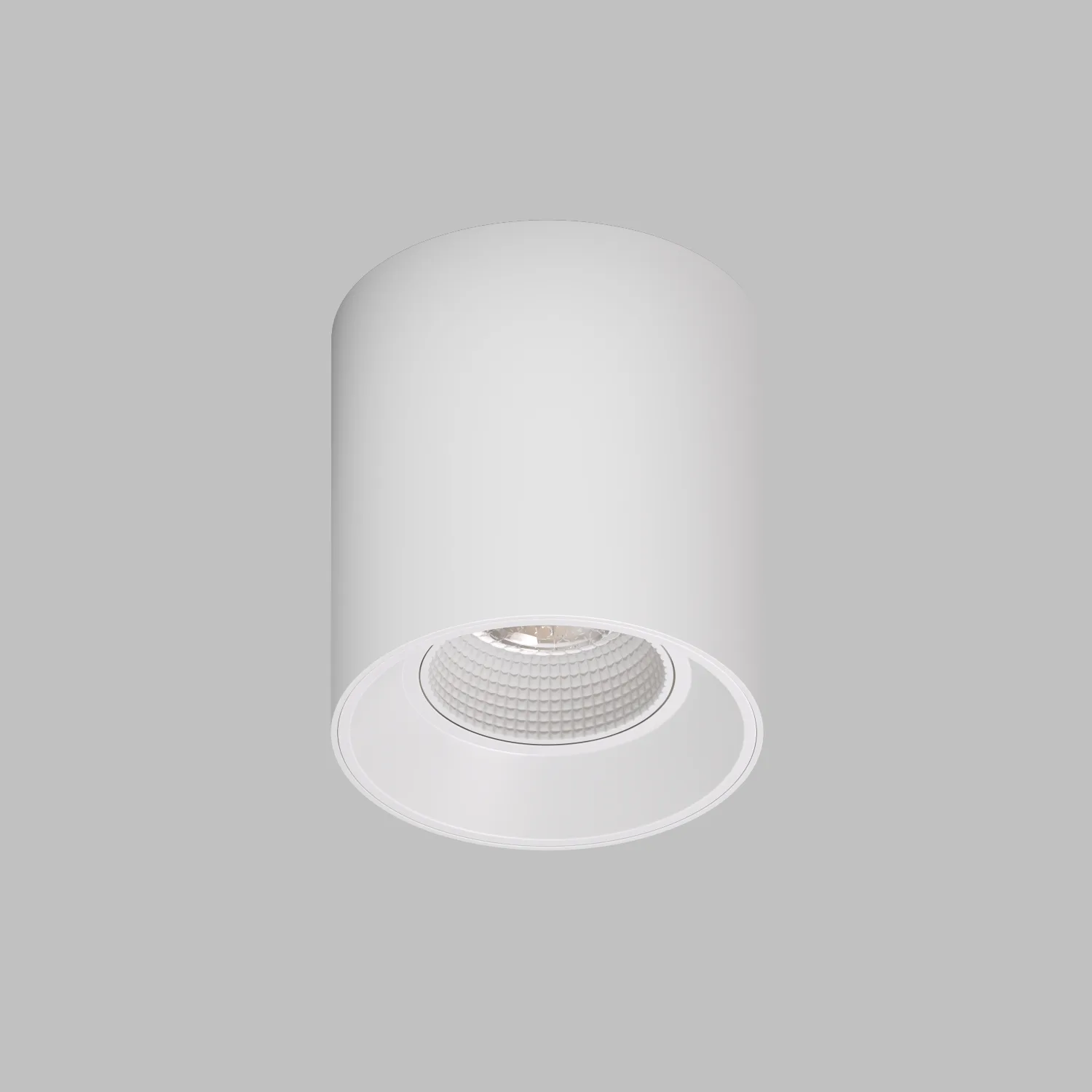 Точечный накладной светильник Denkirs DK3090-WH (ДЕНКИРС) Точечный накладной светильник Denkirs DK3090-WH (ДЕНКИРС)