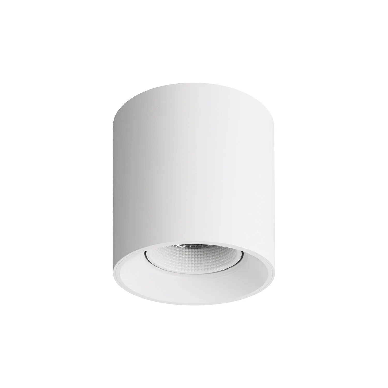 Точечный накладной светильник Denkirs DK3090-WH (ДЕНКИРС) Точечный накладной светильник Denkirs DK3090-WH (ДЕНКИРС)