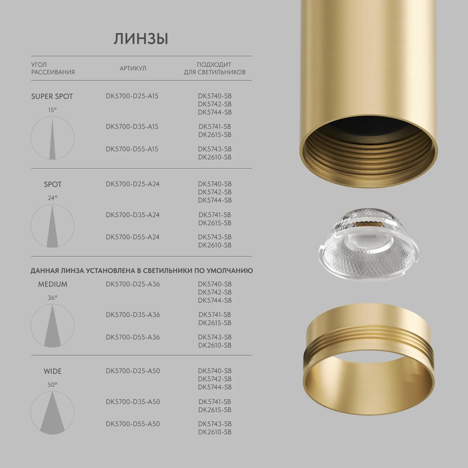 Denkirs SHINE SPOT DK5744-SB светильник для трека (ДЕНКИРС) Denkirs SHINE SPOT DK5744-SB светильник для трека (ДЕНКИРС)