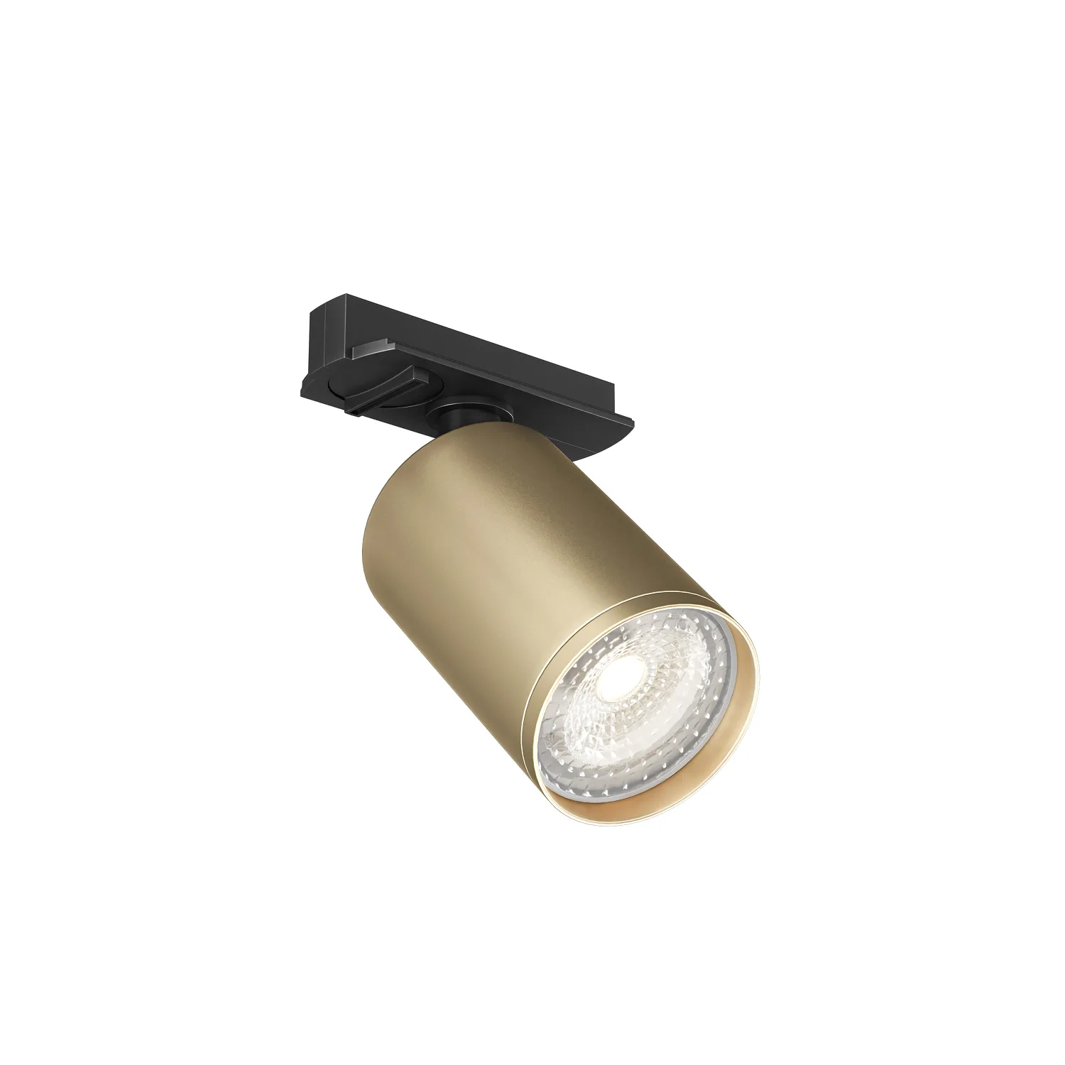 Трековый светильник Denkirs DK6201-BG (ДЕНКИРС) Трековый светильник Denkirs DK6201-BG (ДЕНКИРС)