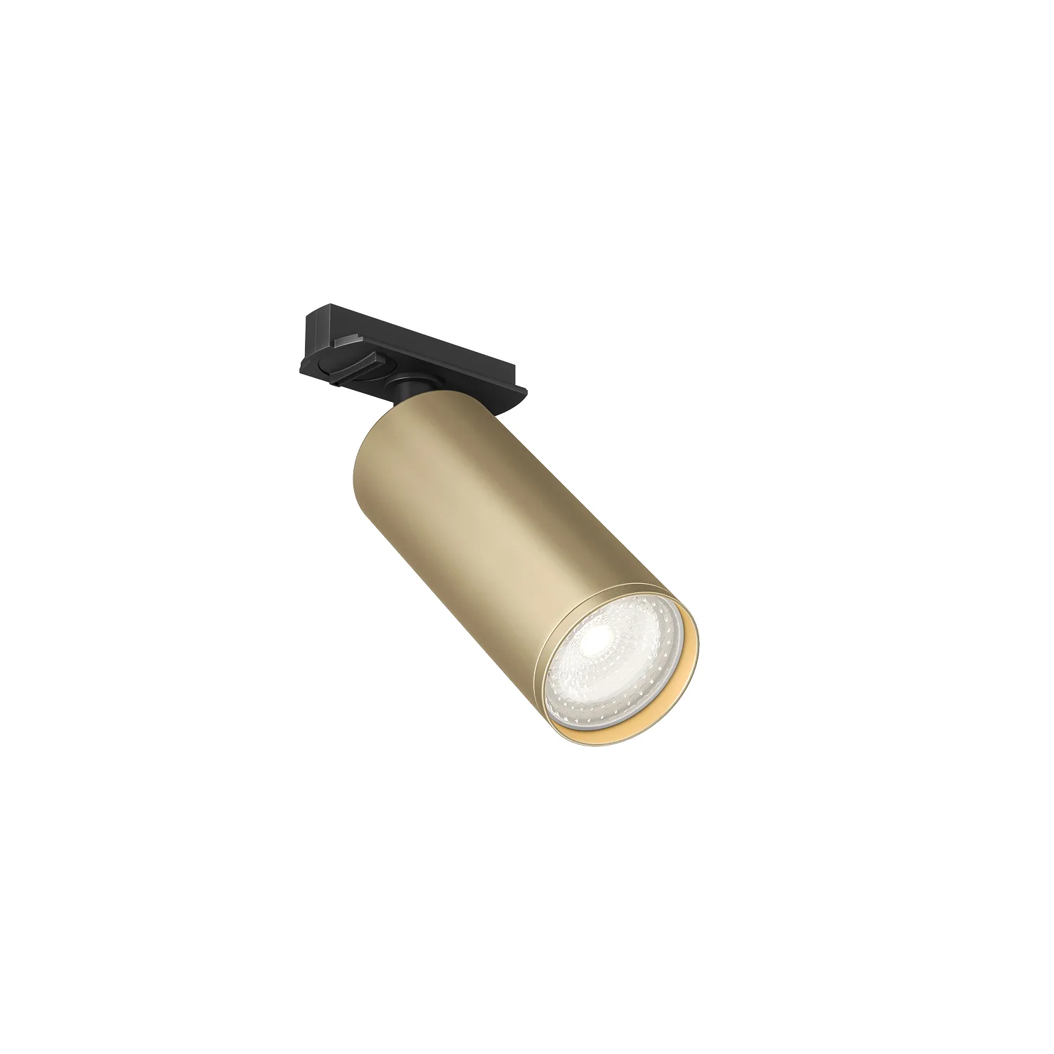 Трековый светильник Denkirs DK6202-BG (ДЕНКИРС) Трековый светильник Denkirs DK6202-BG (ДЕНКИРС)