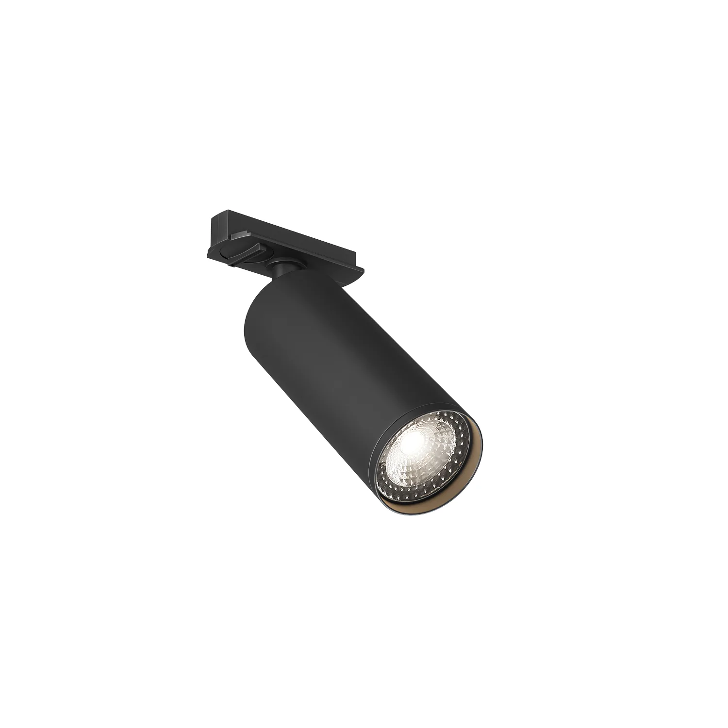 Трековый светильник Denkirs DK6202-BK (ДЕНКИРС) Трековый светильник Denkirs DK6202-BK (ДЕНКИРС)