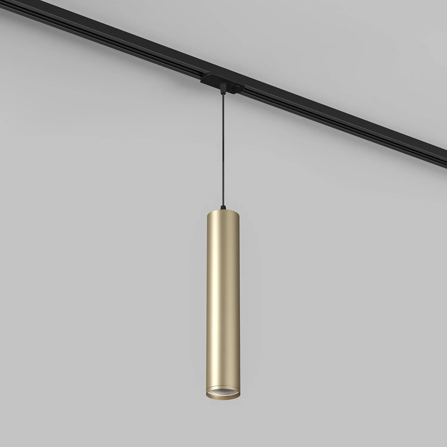 Трековый светильник Denkirs DK6210-BG (ДЕНКИРС) Трековый светильник Denkirs DK6210-BG (ДЕНКИРС)