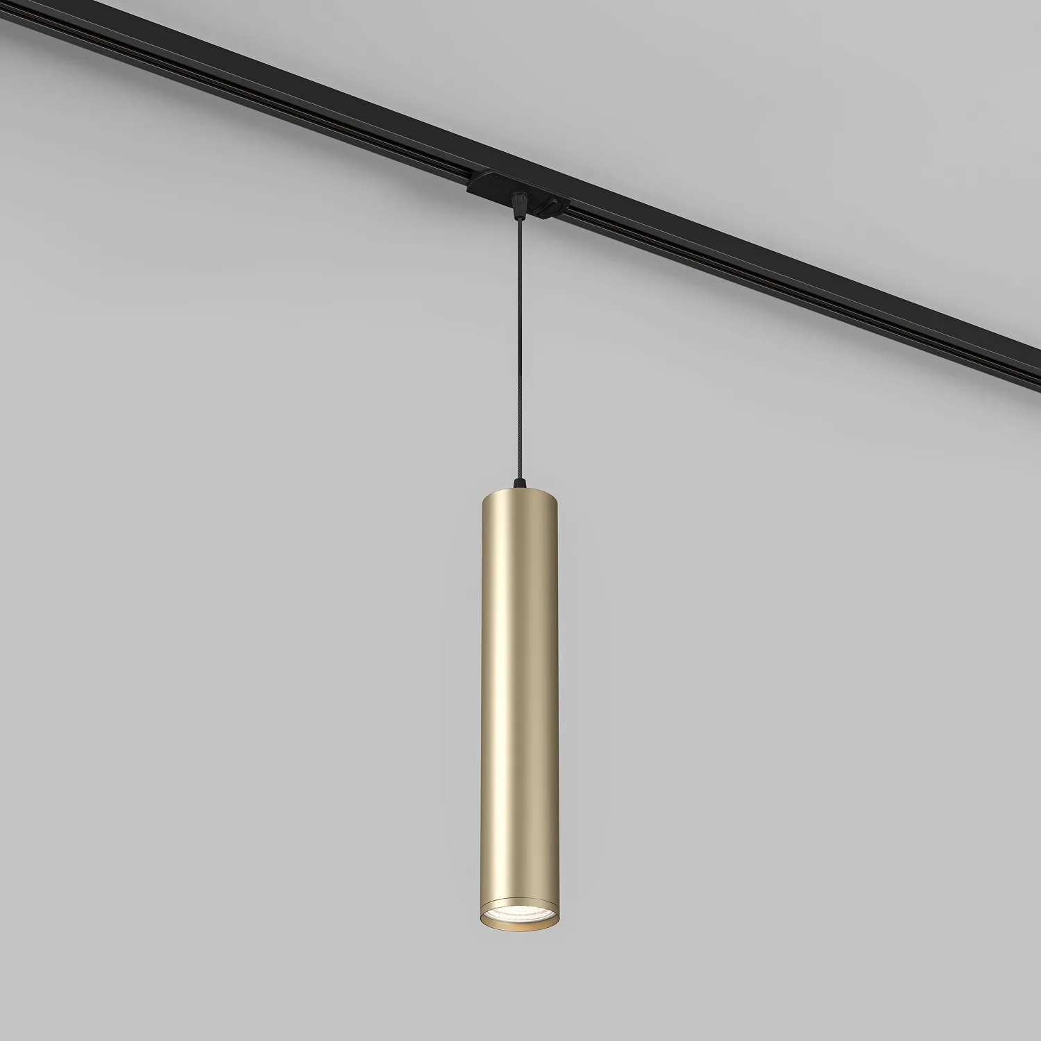 Трековый светильник Denkirs DK6210-BG (ДЕНКИРС) Трековый светильник Denkirs DK6210-BG (ДЕНКИРС)