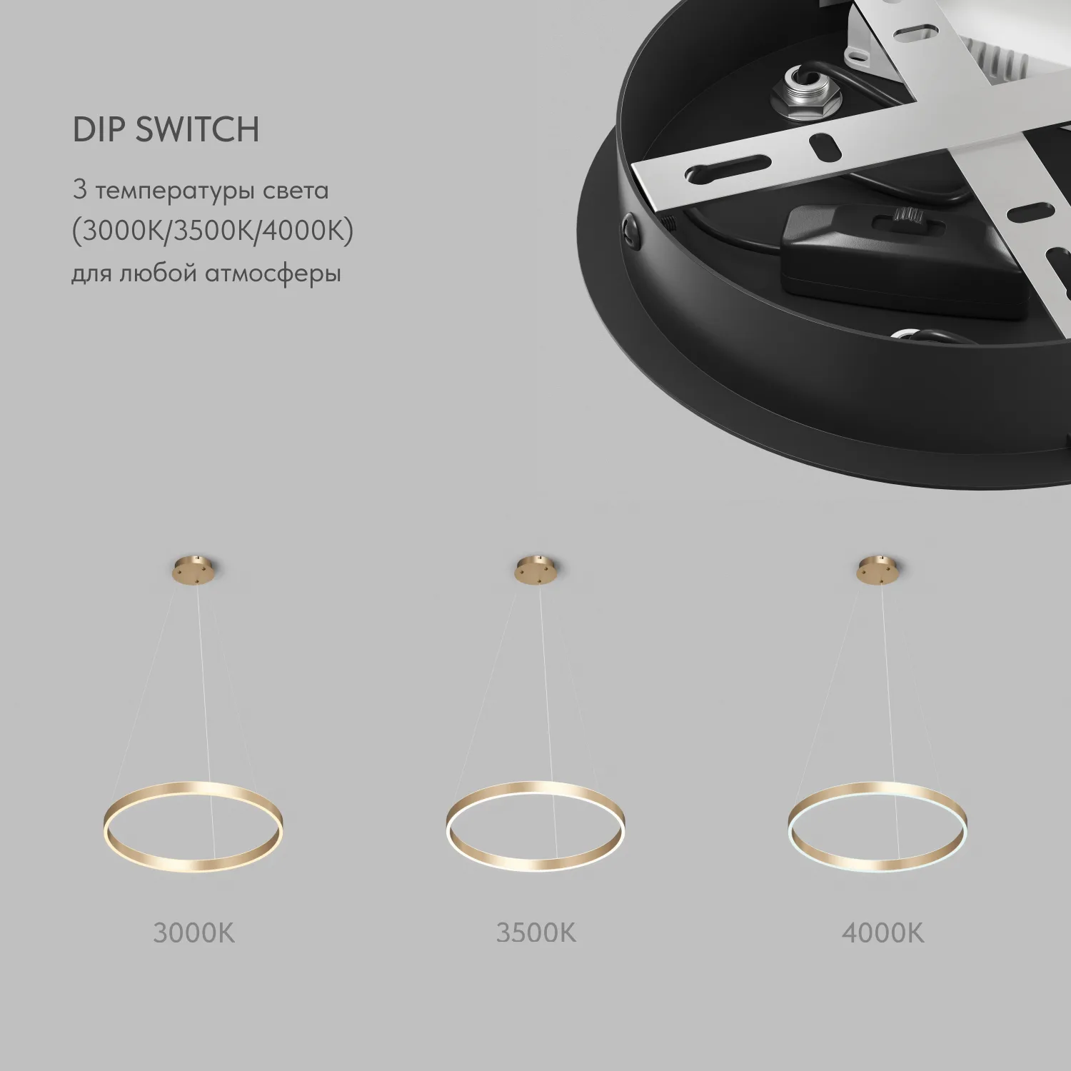 Denkirs RAYDIA DK6272-SG подвесной светильник (ДЕНКИРС) Denkirs RAYDIA DK6272-SG подвесной светильник (ДЕНКИРС)