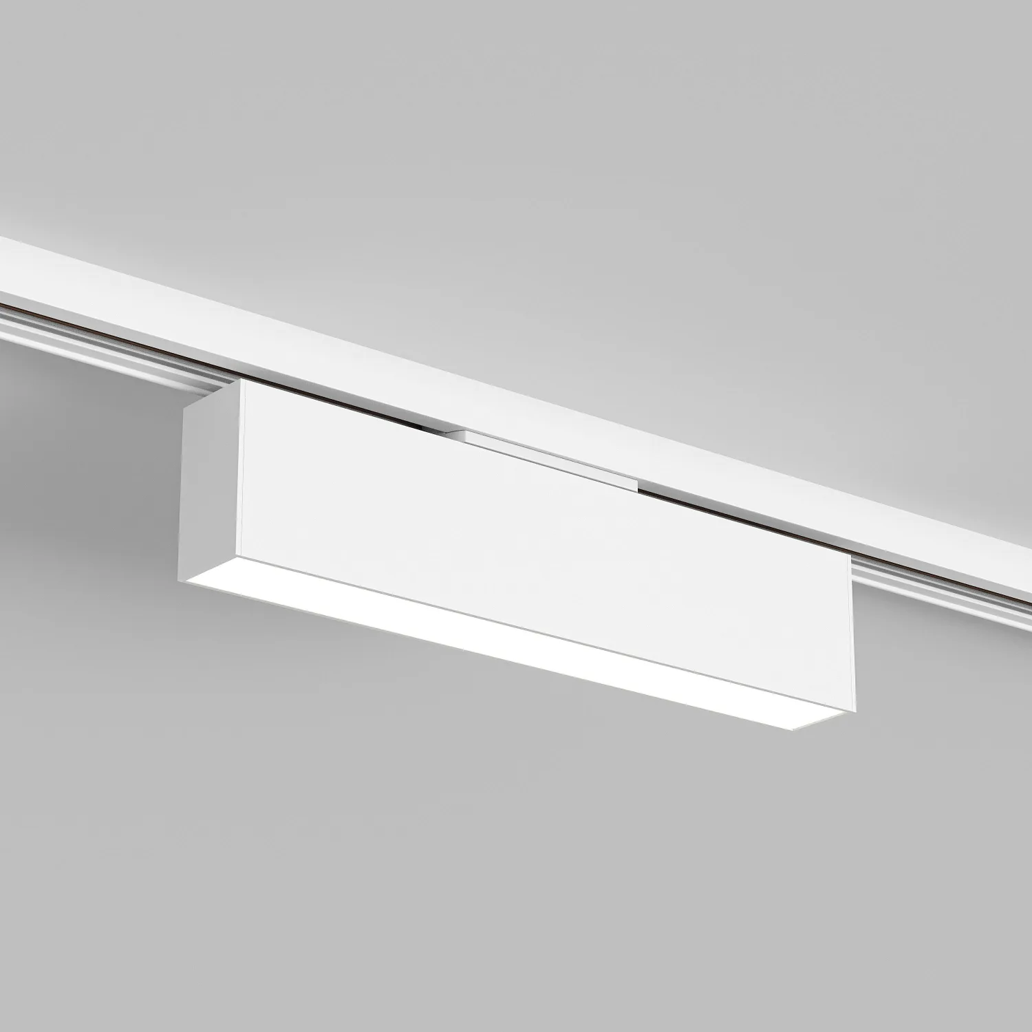 Трековый светильник Denkirs DK6440-WH (ДЕНКИРС) Трековый светильник Denkirs DK6440-WH (ДЕНКИРС)