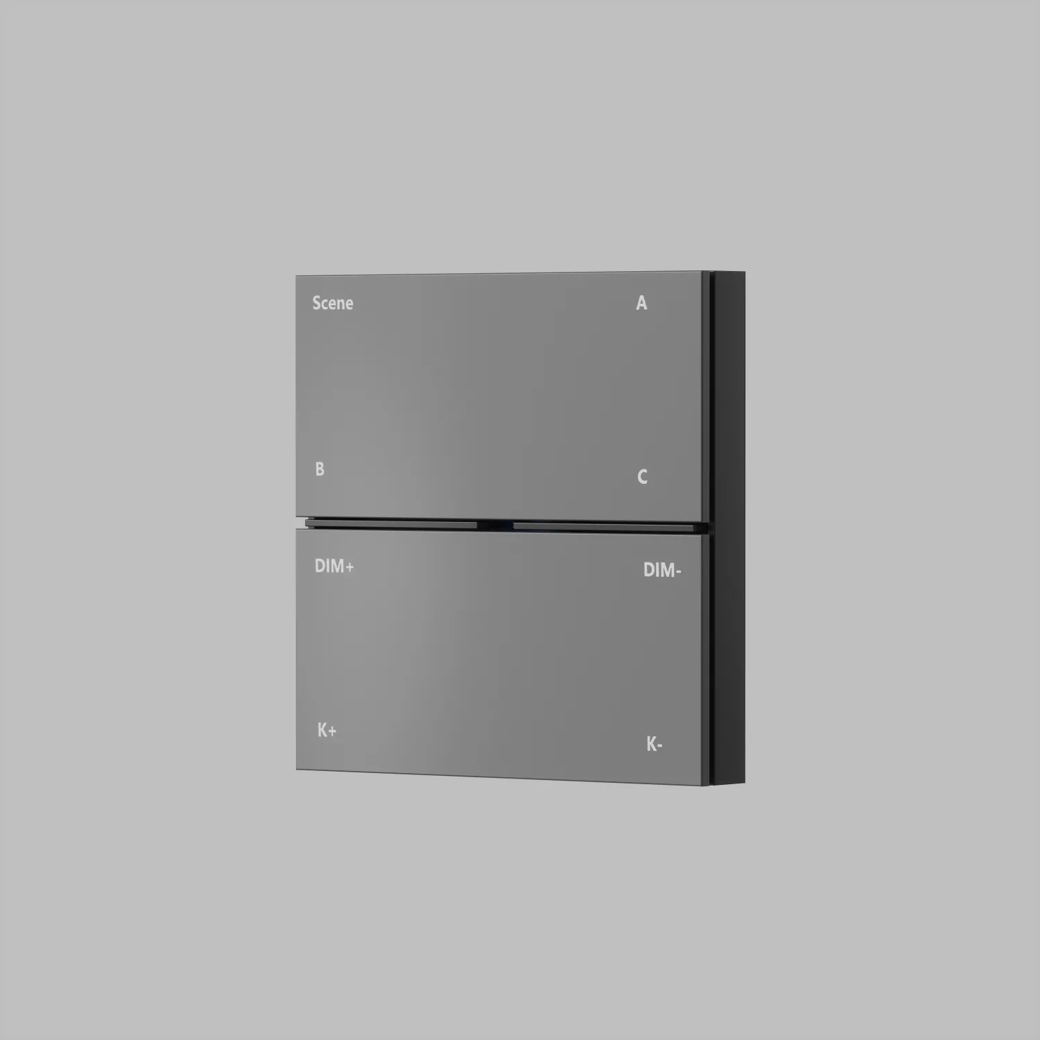 Denkirs CONTROL BT DK7201-DG — накладная настенная панель управления (ДЕНКИРС) Denkirs CONTROL BT DK7201-DG — накладная настенная панель управления (ДЕНКИРС)