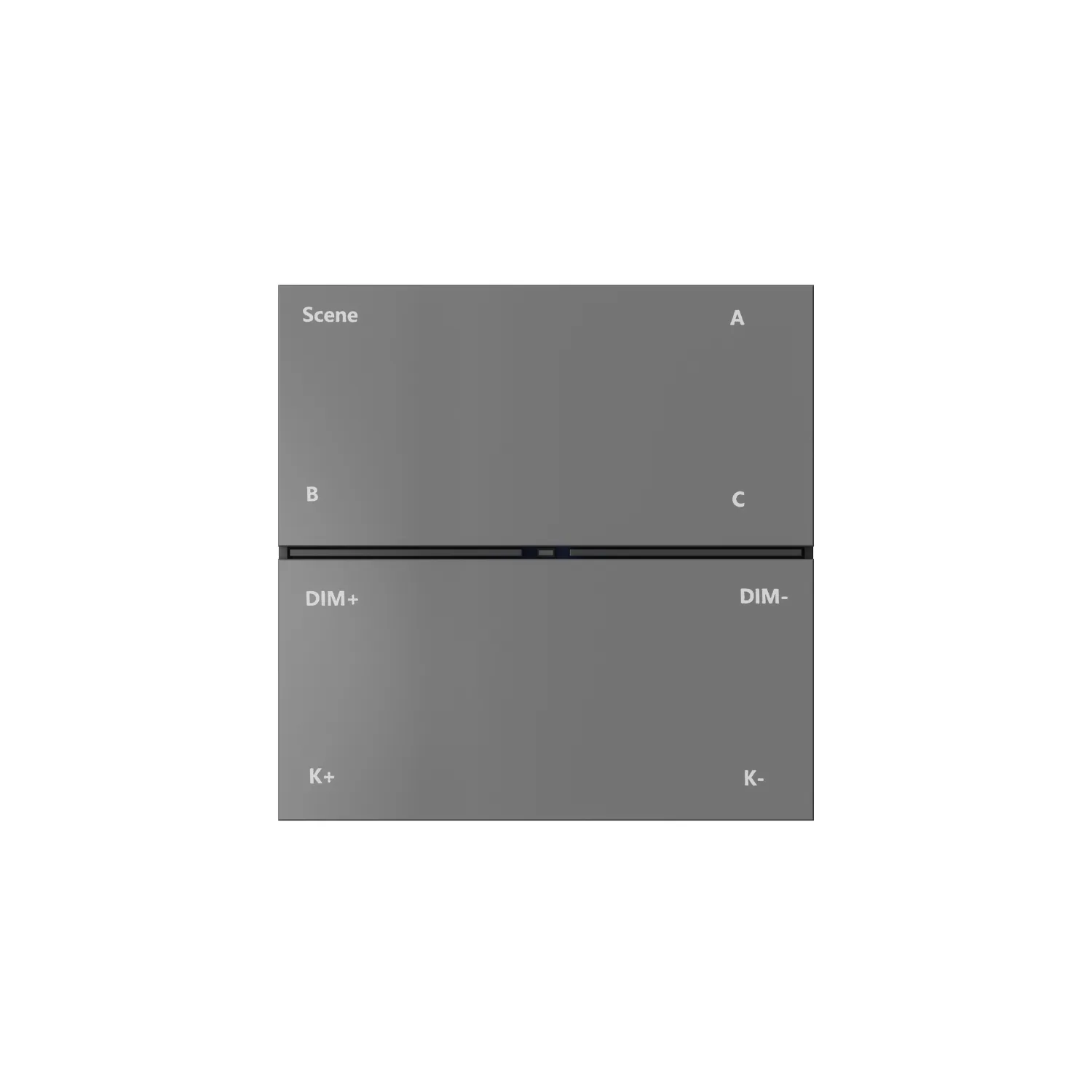 Denkirs CONTROL BT DK7201-DG — накладная настенная панель управления (ДЕНКИРС) Denkirs CONTROL BT DK7201-DG — накладная настенная панель управления (ДЕНКИРС)