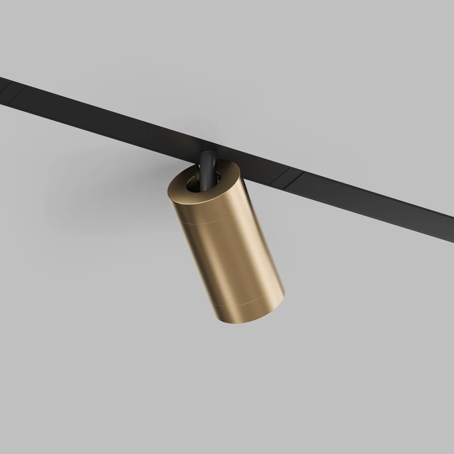 Трековый светильник Denkirs DK8010-BG (ДЕНКИРС) Трековый светильник Denkirs DK8010-BG (ДЕНКИРС)
