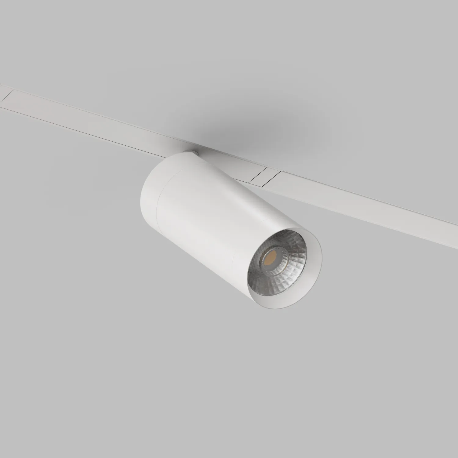 Трековый светильник Denkirs DK8020-WH (ДЕНКИРС) Трековый светильник Denkirs DK8020-WH (ДЕНКИРС)