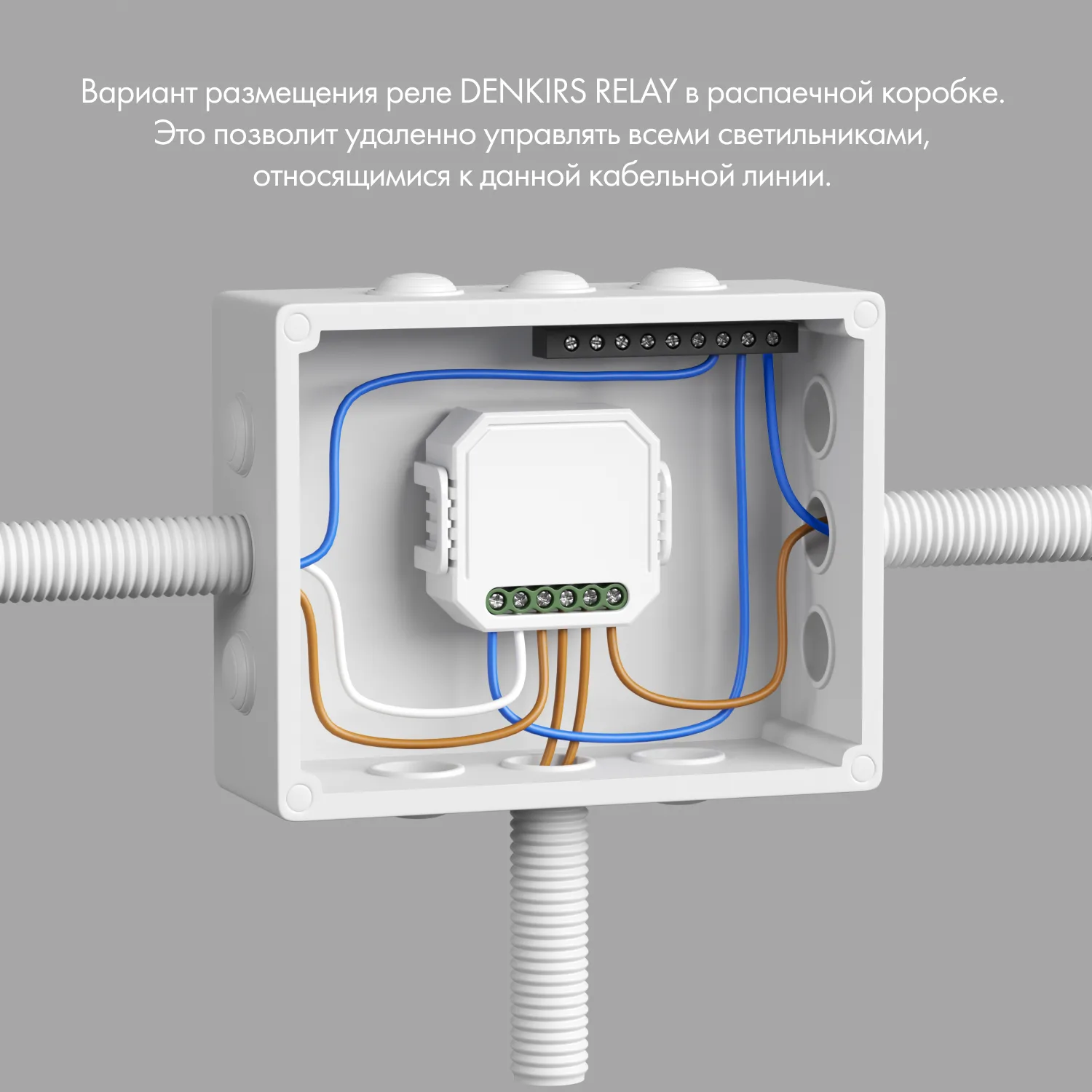 Denkirs RL1004-DM/1 — двухканальное Wi‑Fi реле-диммер (ДЕНКИРС) Denkirs RL1004-DM/1 — двухканальное Wi‑Fi реле-диммер (ДЕНКИРС)