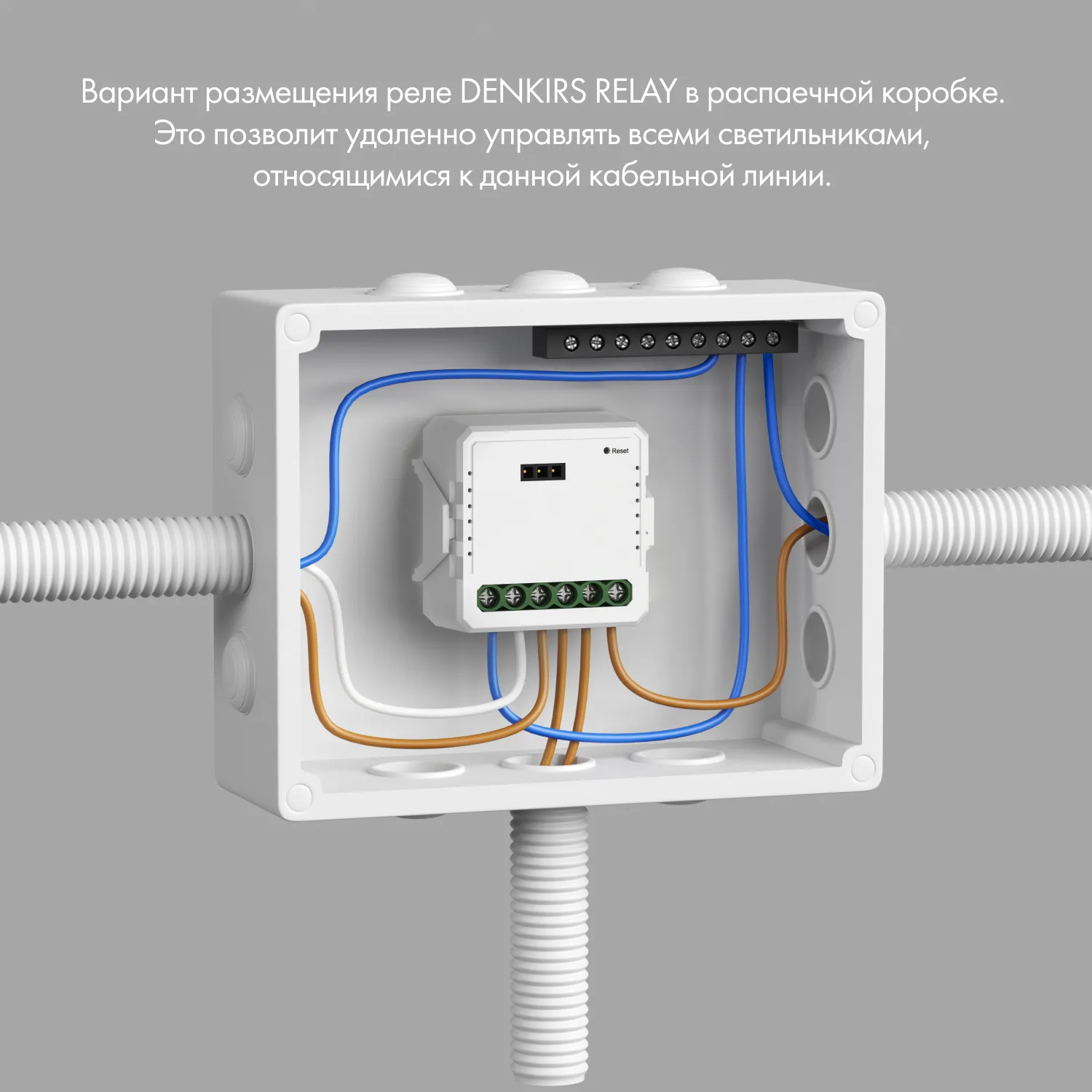Denkirs RL1004-DM двухканальное Wi-Fi реле-диммер (ДЕНКИРС) Denkirs RL1004-DM двухканальное Wi-Fi реле-диммер (ДЕНКИРС)