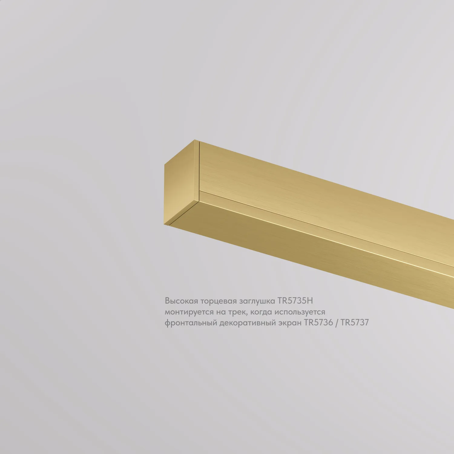 Denkirs Торцевая заглушка для трека SHINE BASE TR5735H-SB (ДЕНКИРС) Denkirs Торцевая заглушка для трека SHINE BASE TR5735H-SB (ДЕНКИРС)