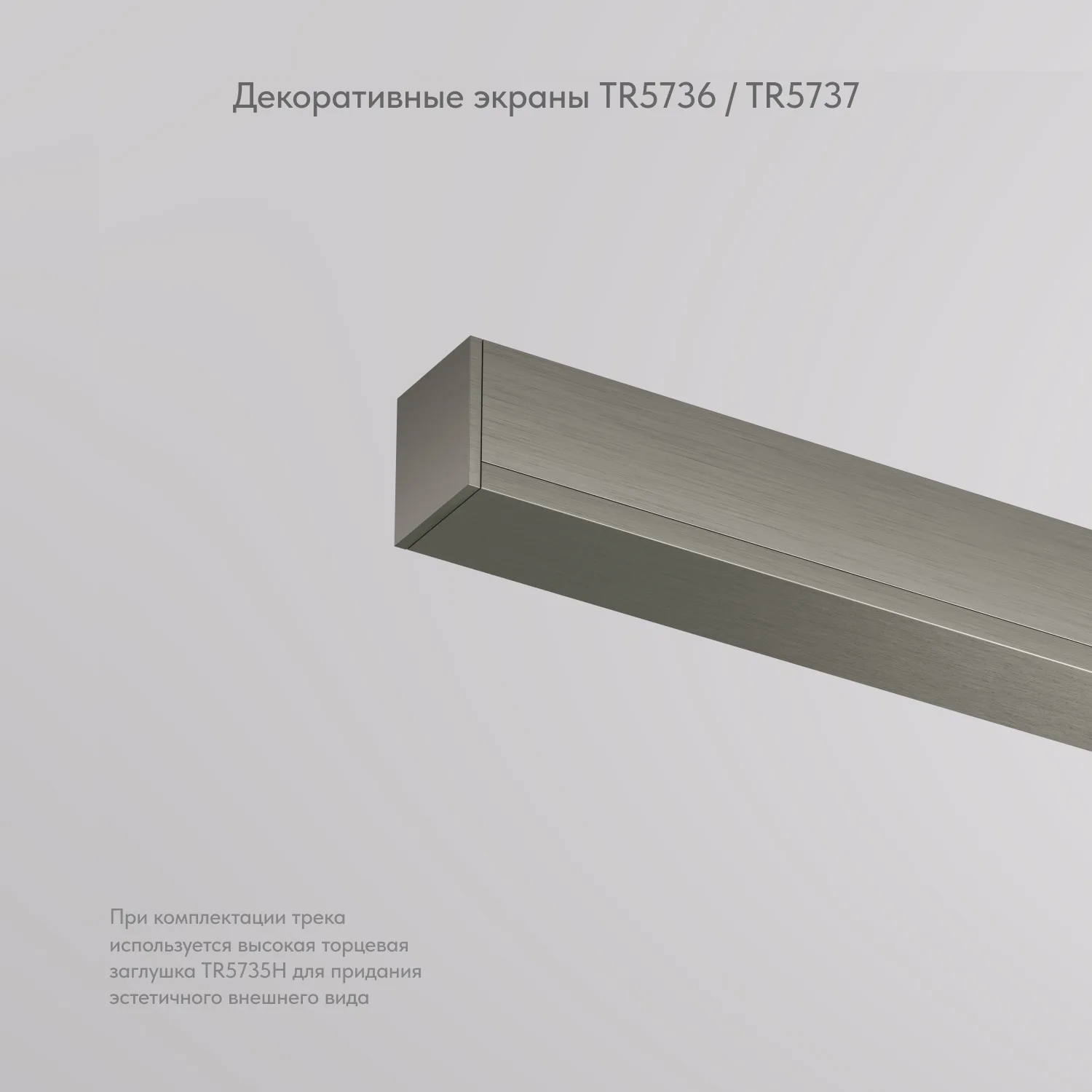 Denkirs SHINE BASE TR5736-DN декоративная заглушка желоба трека (ДЕНКИРС) Denkirs SHINE BASE TR5736-DN декоративная заглушка желоба трека (ДЕНКИРС)