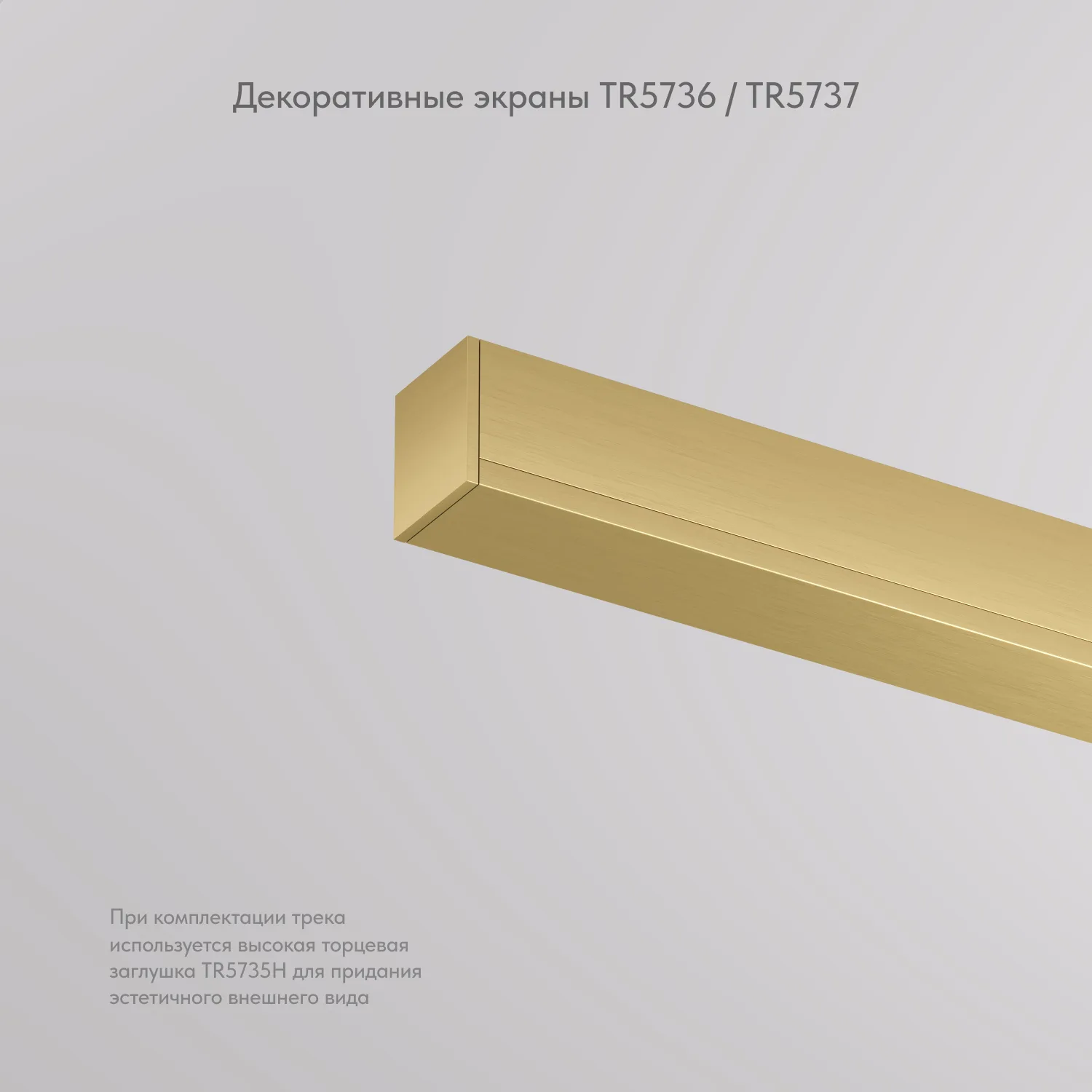Denkirs Декоративная заглушка желоба трека SHINE BASE TR5736-SB (ДЕНКИРС) Denkirs Декоративная заглушка желоба трека SHINE BASE TR5736-SB (ДЕНКИРС)