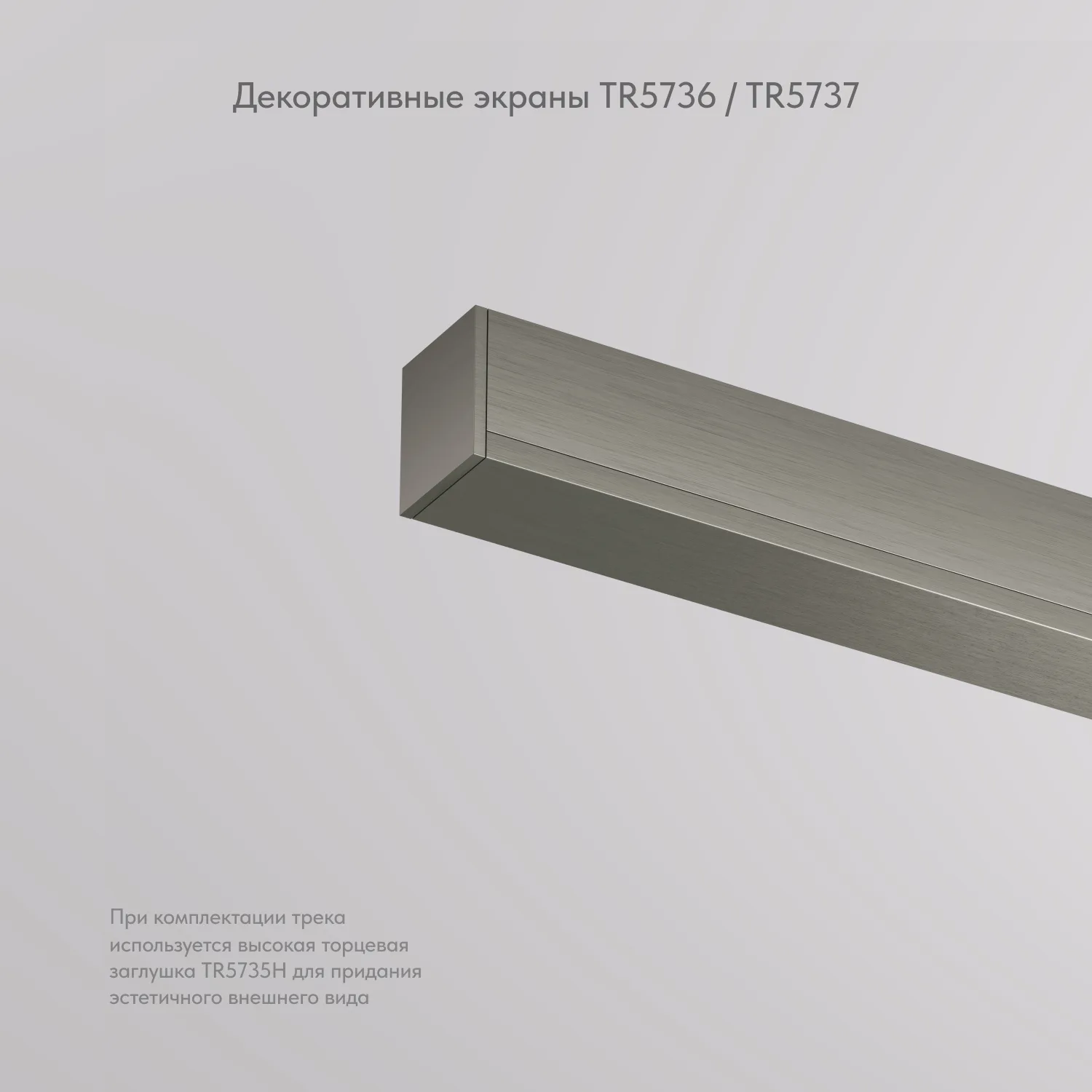 Denkirs TR5737-DN декоративная заглушка желоба трека SHINE BASE (ДЕНКИРС) Denkirs TR5737-DN декоративная заглушка желоба трека SHINE BASE (ДЕНКИРС)